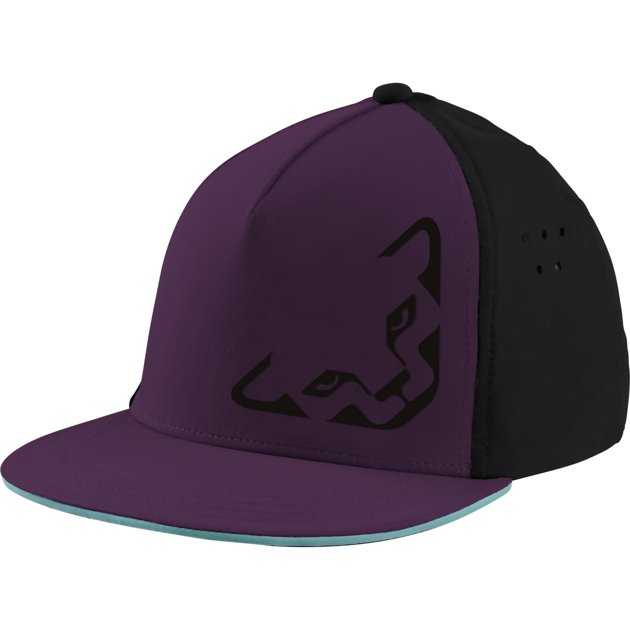 šiltovka DYNAFIT Tech Trucker cap royal purple